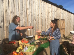 Buying fresh biodynamic produce at Huxhams Cross Farm
